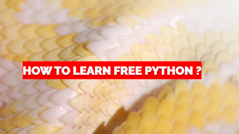 How to learn free python ?