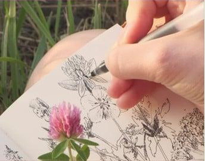 Sketching flowers in a notebook